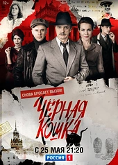 Постер к Черная кошка