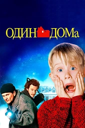 Постер к Один дома