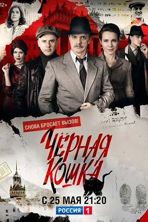 Постер к Черная кошка