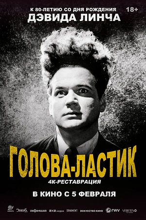 Голова-ластик