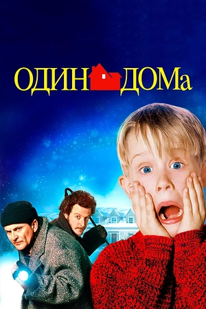 Постер к Один дома