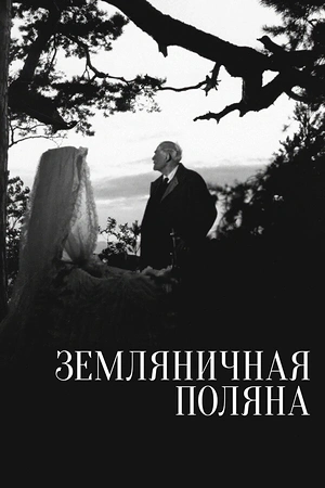Земляничная поляна